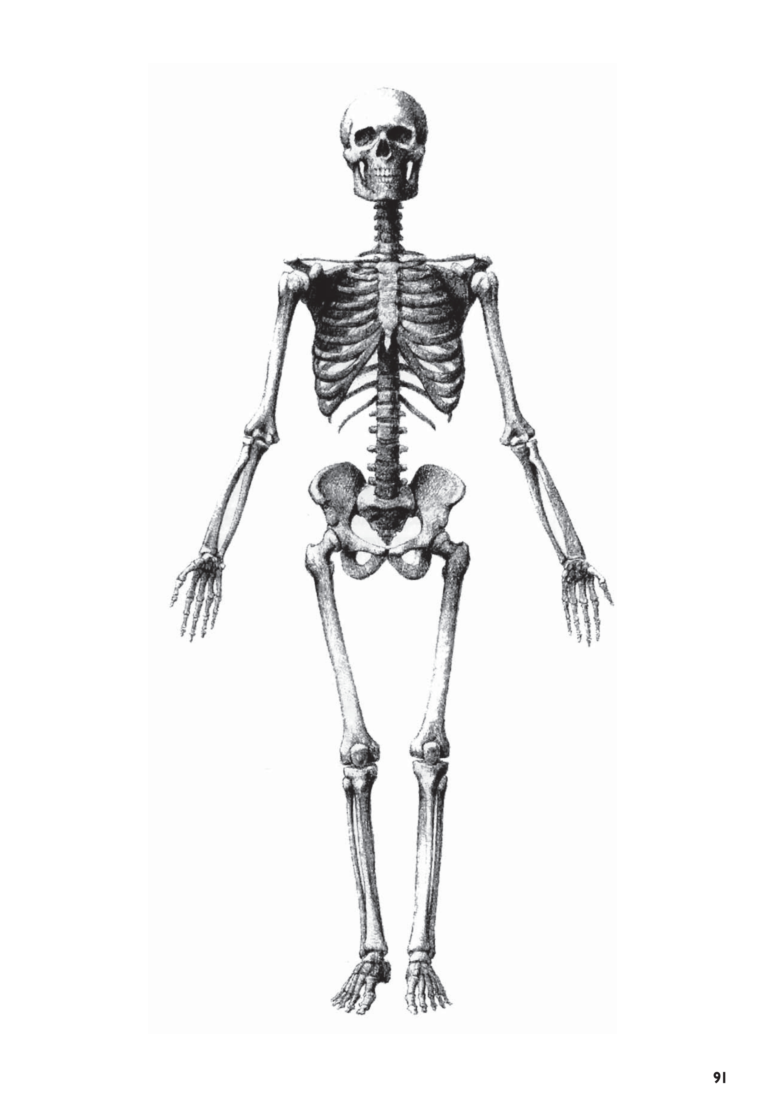 آموزش نقاشی طراحی سیاه قلم شهرری
